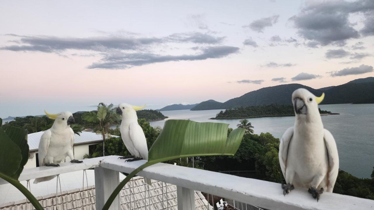 The Haven View - 埃尔利海滩 外观 照片