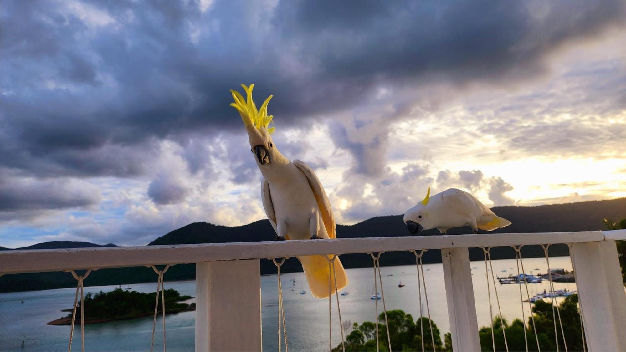 The Haven View - 埃尔利海滩 外观 照片